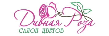 Лого: Салон цветов «Дивная роза»